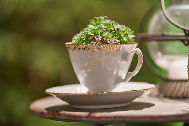 Pass It On: 18 Heirloom-Worthy Wedding Gifts, a nice, porcelain tea cup with fake leaves inside it.